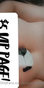 16053308