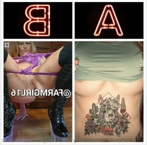 11955442