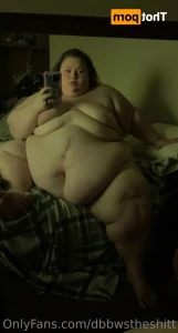 16228473