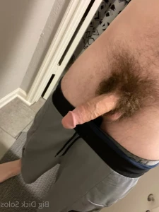 15575529
