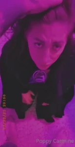 dadbodaddict Onlyfans leaked video 16241312 on Hotleaks.tv