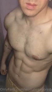 14788186