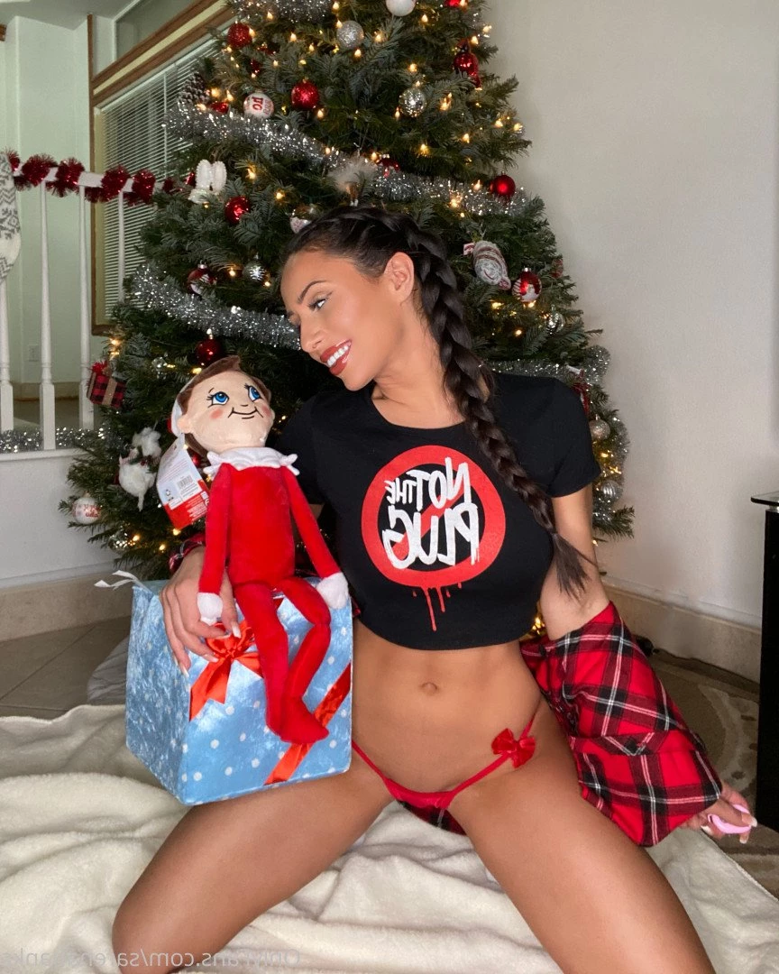 Sarena Banks [ sarenabanks ] Onlyfans leaked photo 1065575 on Hotleaks.tv