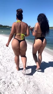 16426893