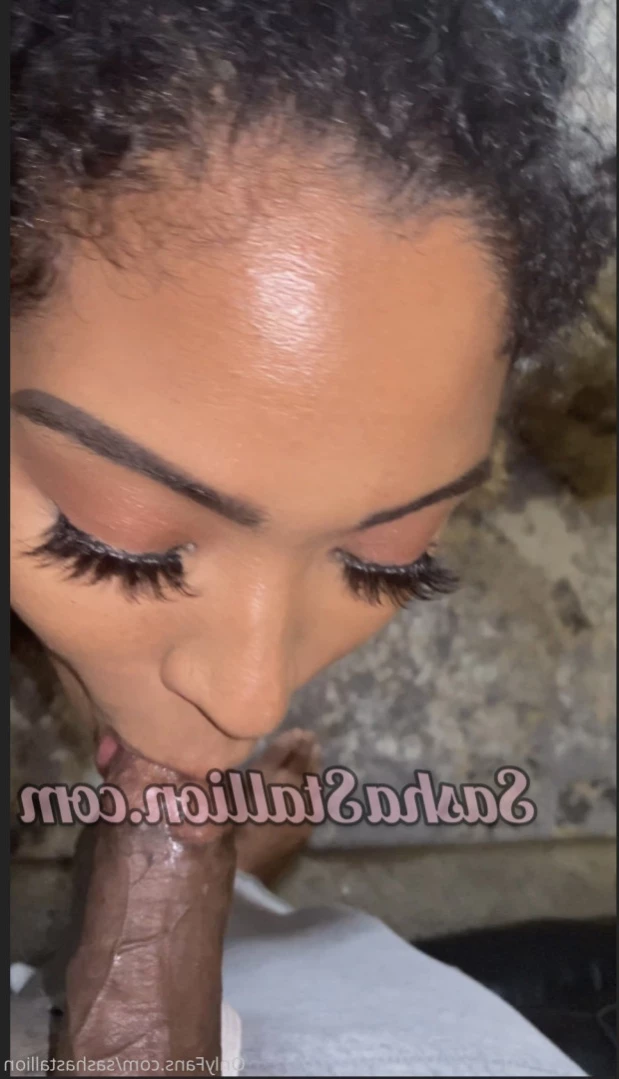 Sasha’s CUMHOUSE! [ sashastallion ] Onlyfans leaked photo 14038208 on Hotleaks.tv