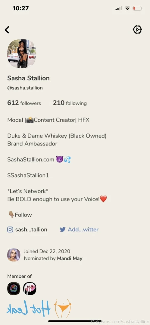 Sasha’s CUMHOUSE! [ sashastallion ] Onlyfans leaked photo 14038701 on Hotleaks.tv