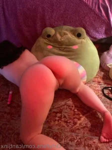 13236864