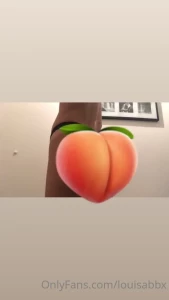 15508287