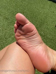 14563068