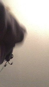 Savannah Solo [ savannahsolo ] Onlyfans leaked video 2538586 on Hotleaks.tv