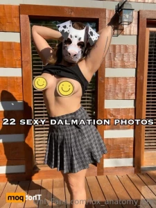 13497584