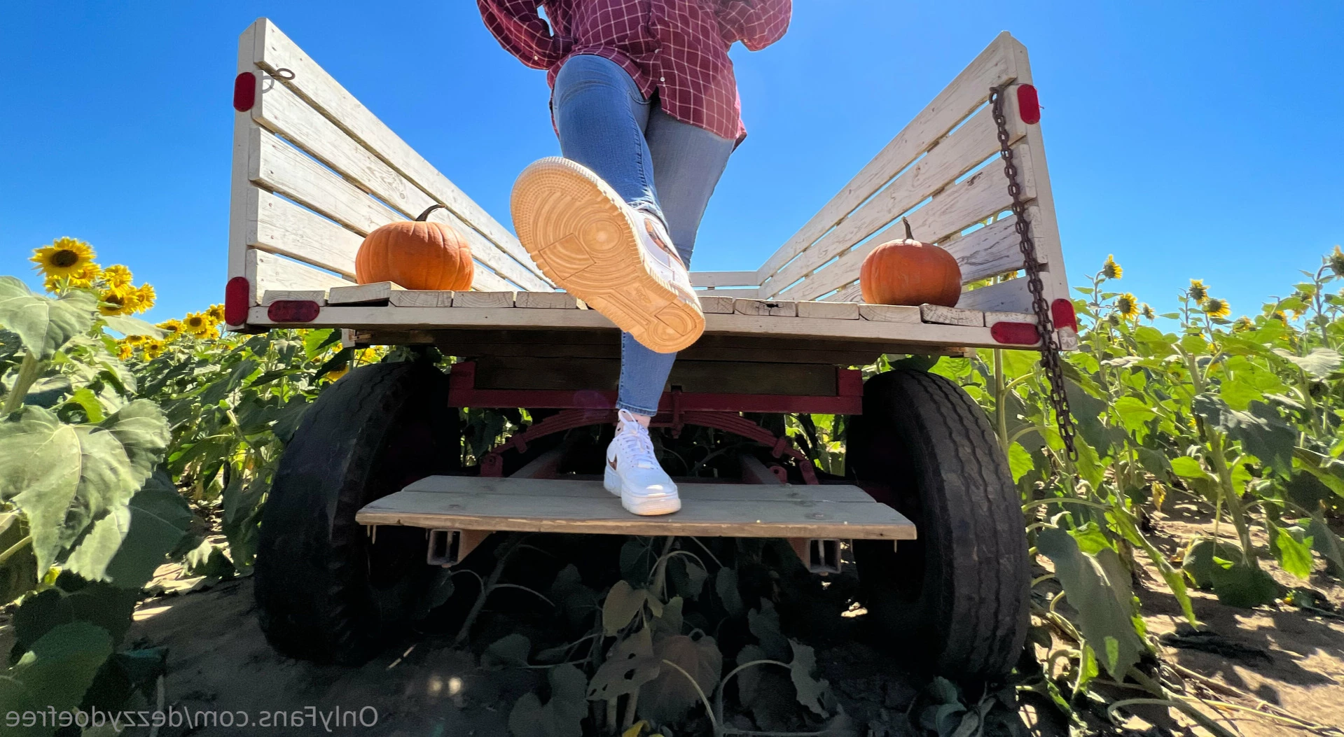Dezzy [ doedezzy ] Onlyfans leaked photo 14038167 on Hotleaks.tv