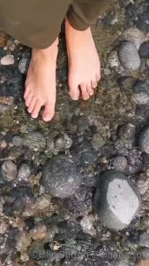 13599614