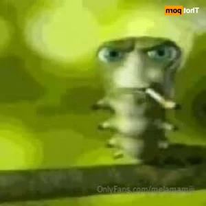 11802257