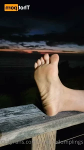 14933614