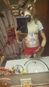 16241833