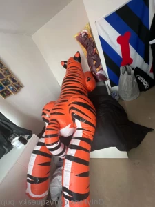 11879955