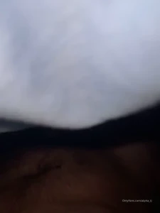 13444427
