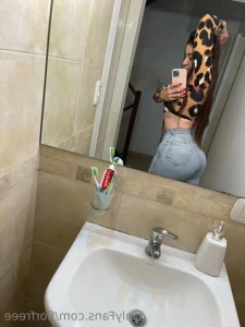 13175326