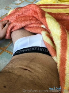 12367018