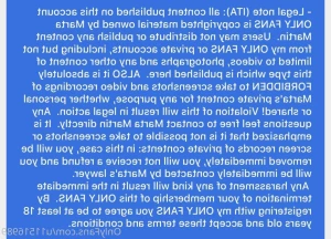 16137317