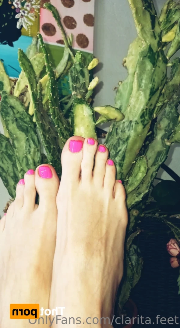 Clarita 🤍 [ clarita.feet ] Onlyfans leaked photo 13114097 on Hotleaks.tv