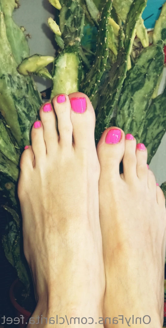 Clarita 🤍 [ clarita.feet ] Onlyfans leaked photo 16103661 on Hotleaks.tv