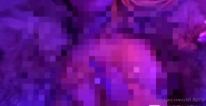 16453804