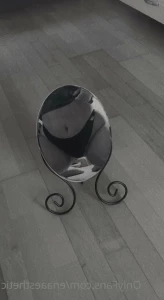 13697323