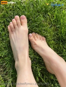 15387545