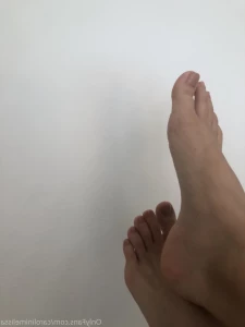 15997391