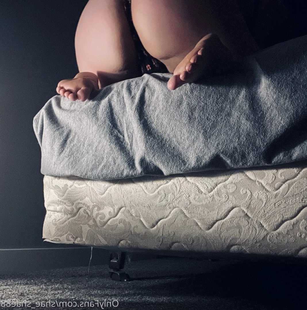 Shaylee [ shae_shae88 ] Onlyfans leaked photo 1086232 on Hotleaks.tv