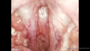 Giantess Goldenlace [ gtsgoldenlace ] Onlyfans leaked video 18058057 on Hotleaks.tv