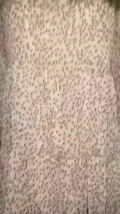 Hotwife631 [ hotw631 ] Onlyfans leaked video 18052364 on Hotleaks.tv