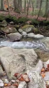 Hotwife631 [ hotw631 ] Onlyfans leaked video 18052392 on Hotleaks.tv