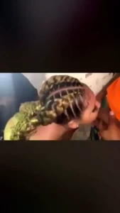 1751237