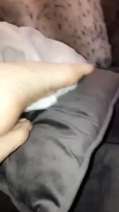 18050338