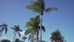 18050377