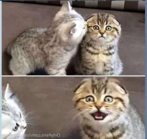 1095770
