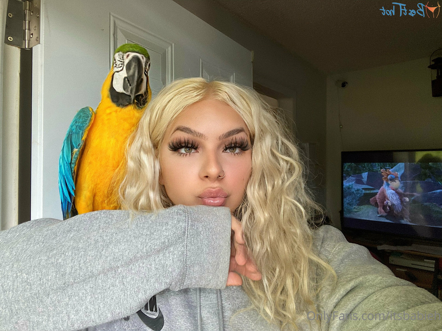 𝐇𝐚𝐧𝐧𝐚𝐡 𝐓𝐨𝐩 𝟐% [ itsbabieh ] Onlyfans leaked photo 17450384 on Hotleaks.tv