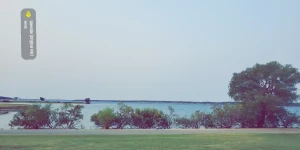 18037517