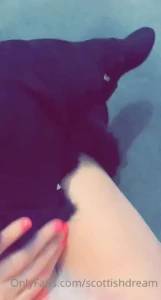 18037011