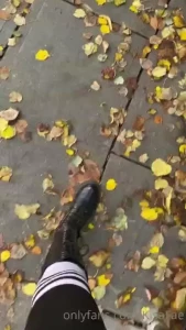 18036539