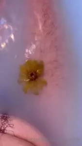 18036554