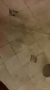 18034256