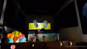 18034205
