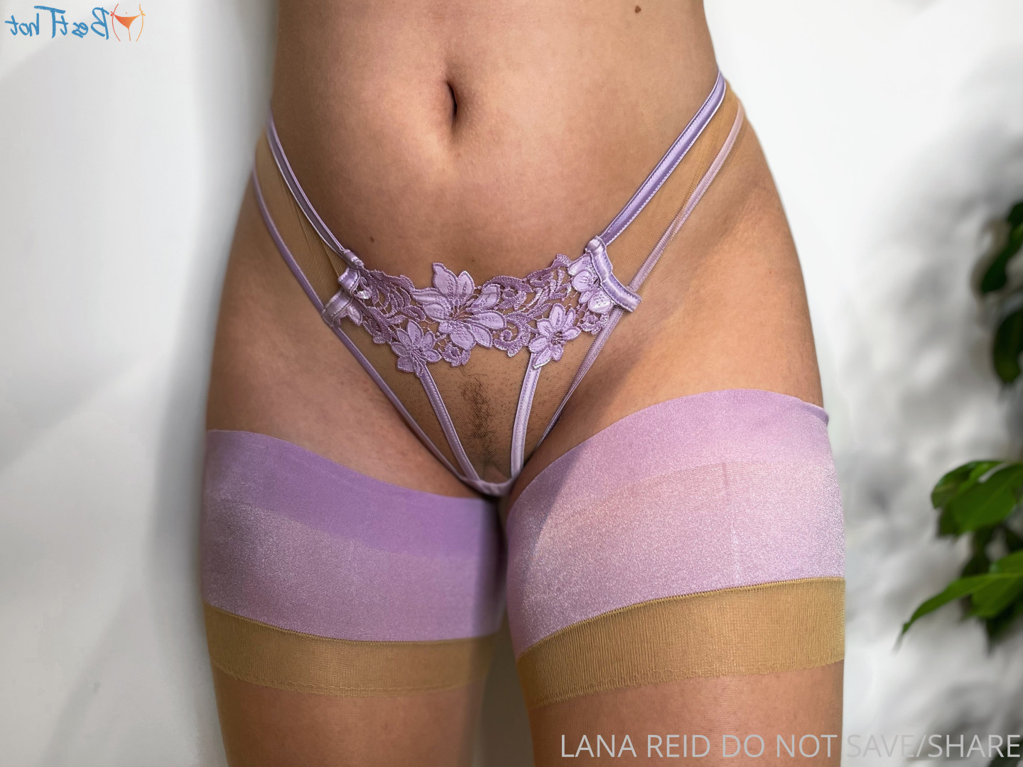 Lana Reid ✨ [ lana_reid ] Onlyfans leaked photo 17413354 on Hotleaks.tv
