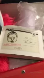18028237