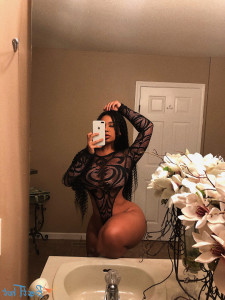 17518079