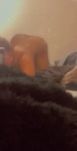 18027274